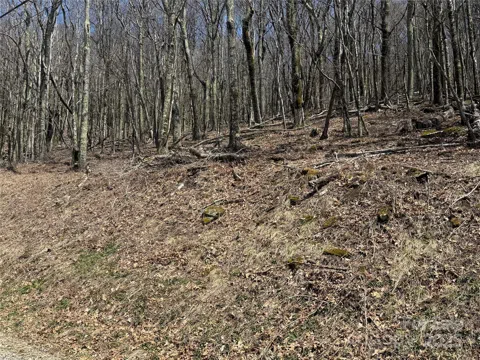 244 & 245 Grouse Thicket Lane