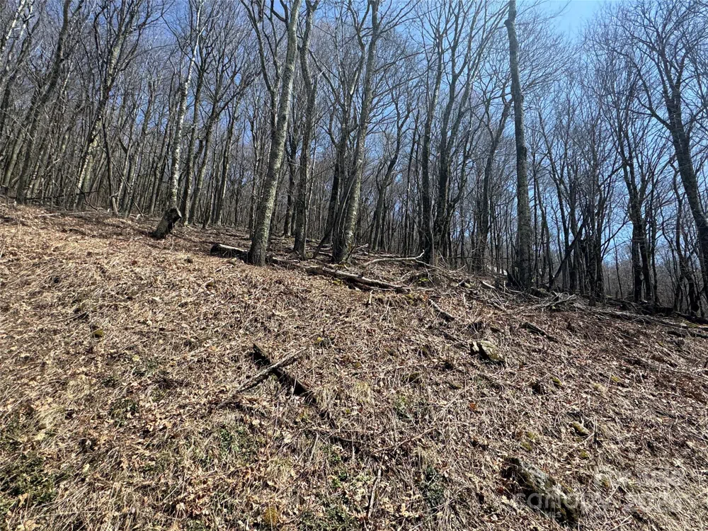 244 & 245 Grouse Thicket Lane Mars Hill, NC 28754