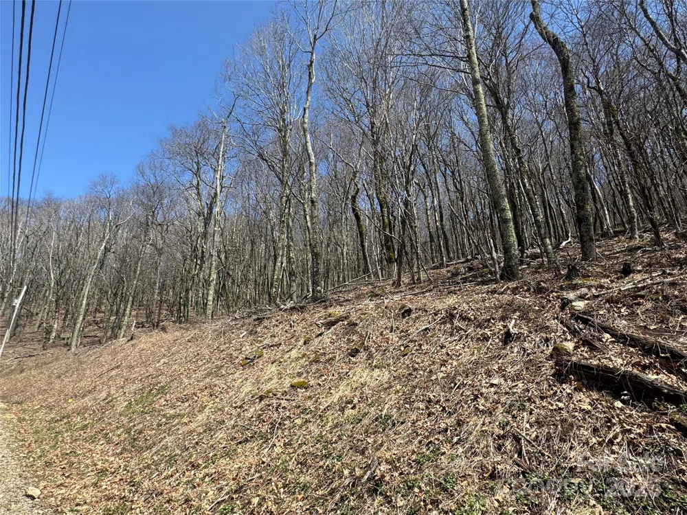 244 & 245 Grouse Thicket Lane Mars Hill, NC 28754