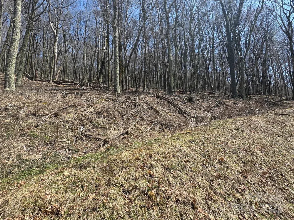 244 & 245 Grouse Thicket Lane Mars Hill, NC 28754