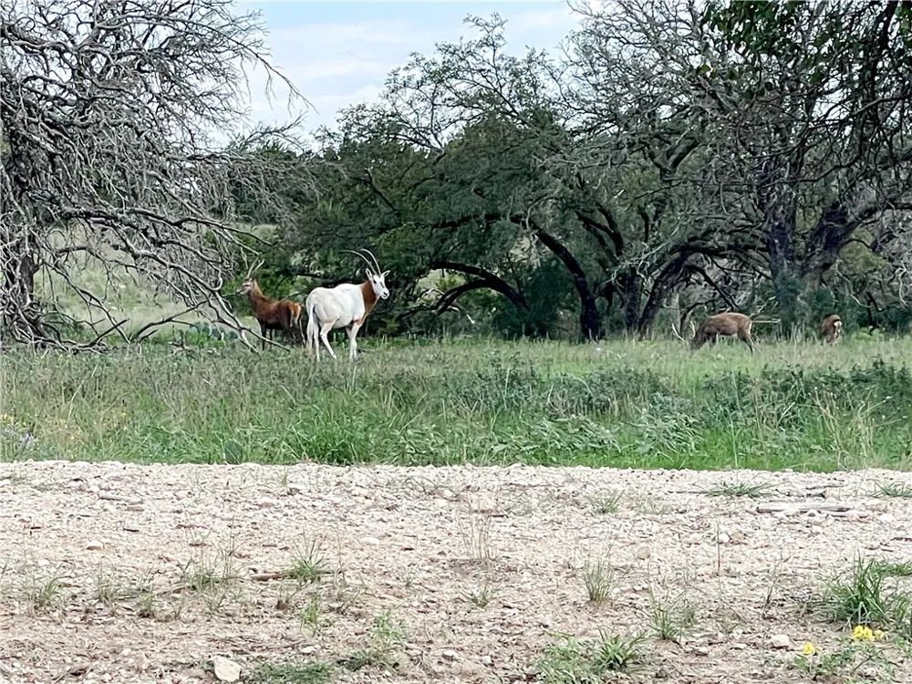 River Shoals Drive #Lot 109 Kempner, TX 76539