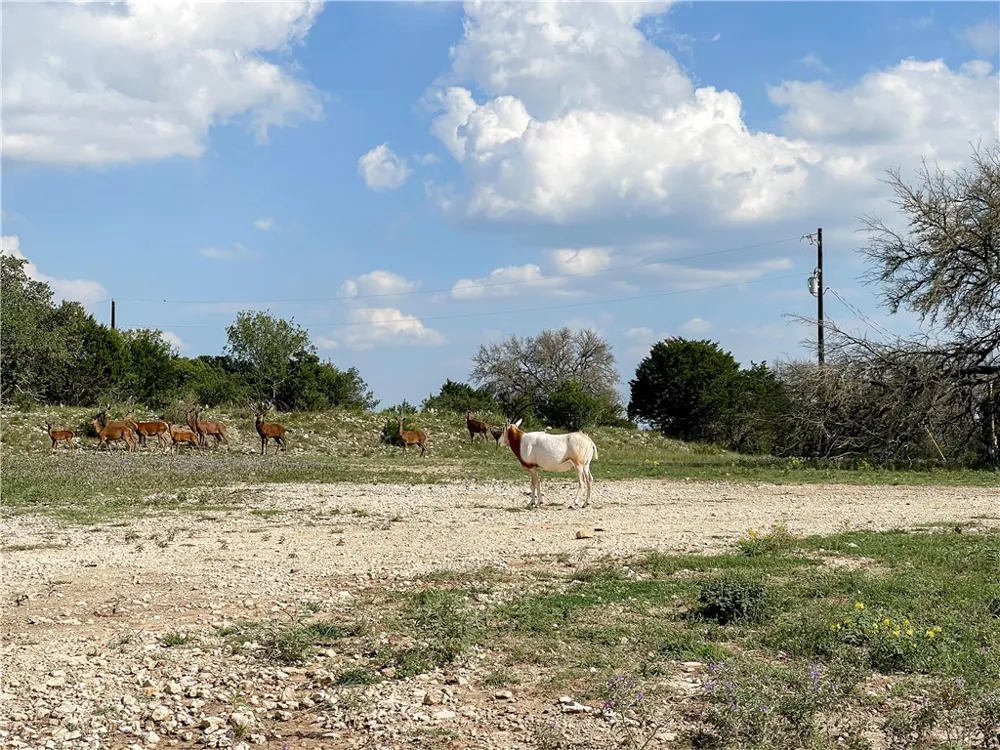 River Shoals Drive #Lot 109 Kempner, TX 76539