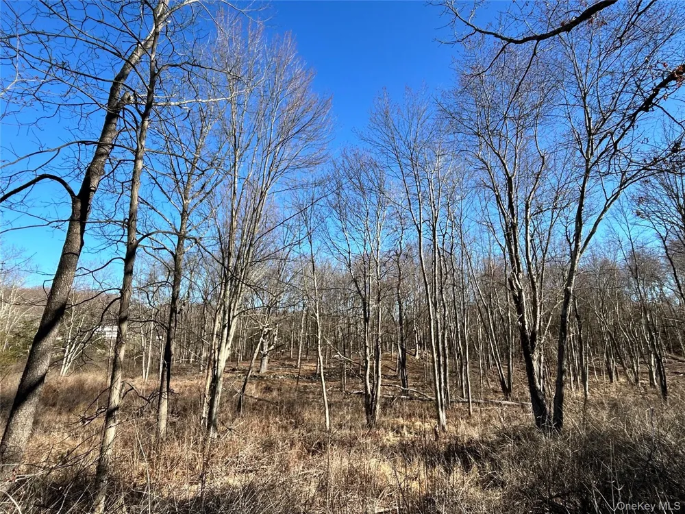 Rt-9G Rhinebeck, NY 12572