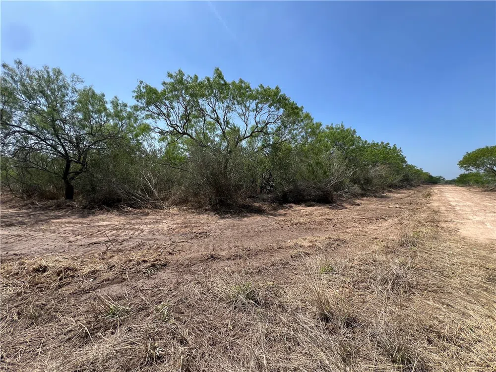 231 County Road Falfurrias, TX 78355