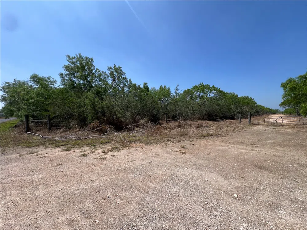 231 County Road Falfurrias, TX 78355