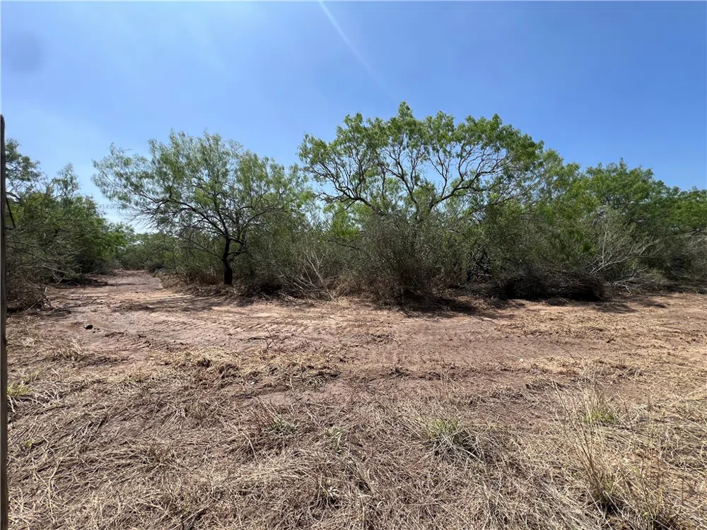231 County Road Falfurrias, TX 78355