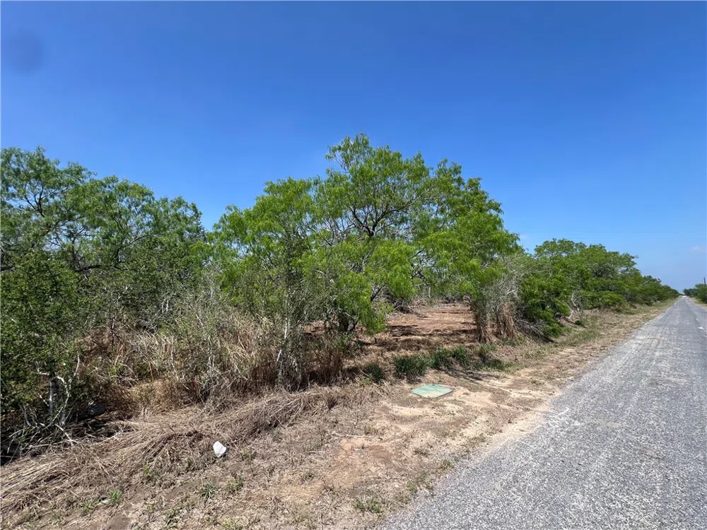 231 County Road Falfurrias, TX 78355