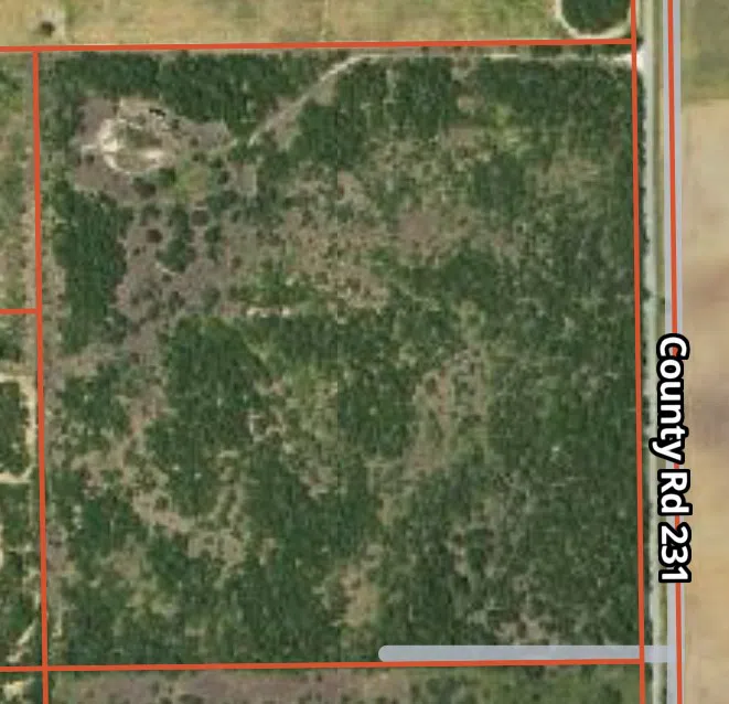 231 County Road Falfurrias, TX 78355