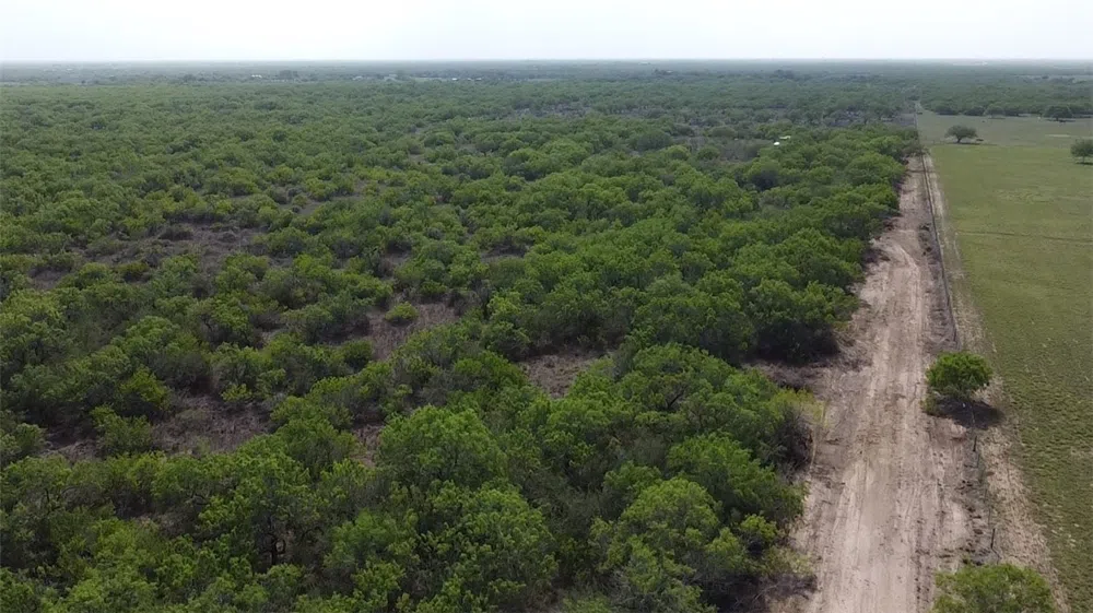 231 County Road Falfurrias, TX 78355
