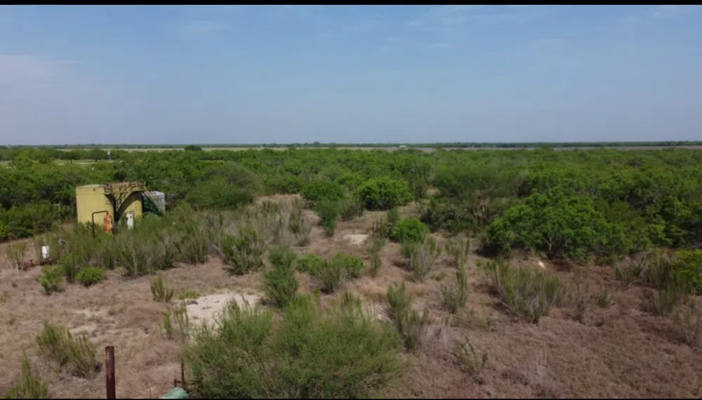 231 County Road Falfurrias, TX 78355