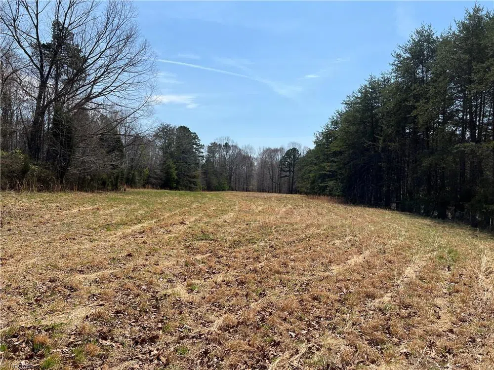 44 +/- AC Island Drive Madison, NC 27025