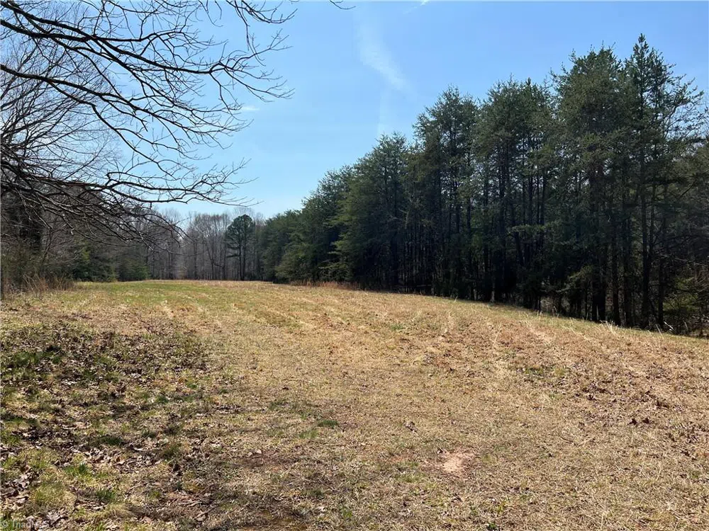 44 +/- AC Island Drive Madison, NC 27025