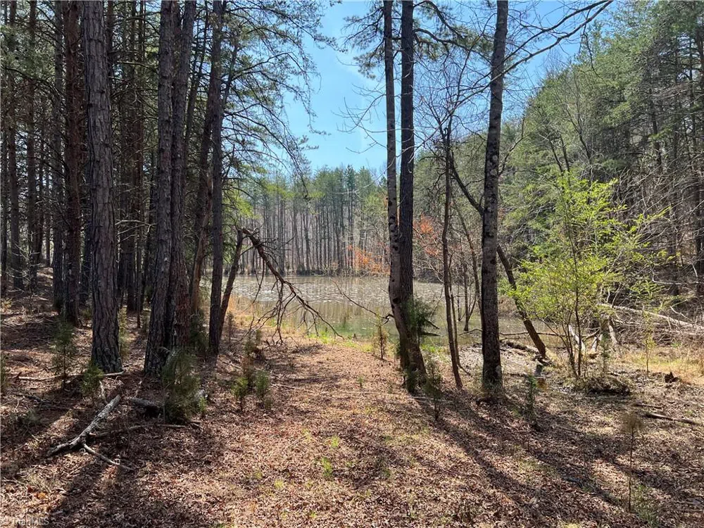 44 +/- AC Island Drive Madison, NC 27025