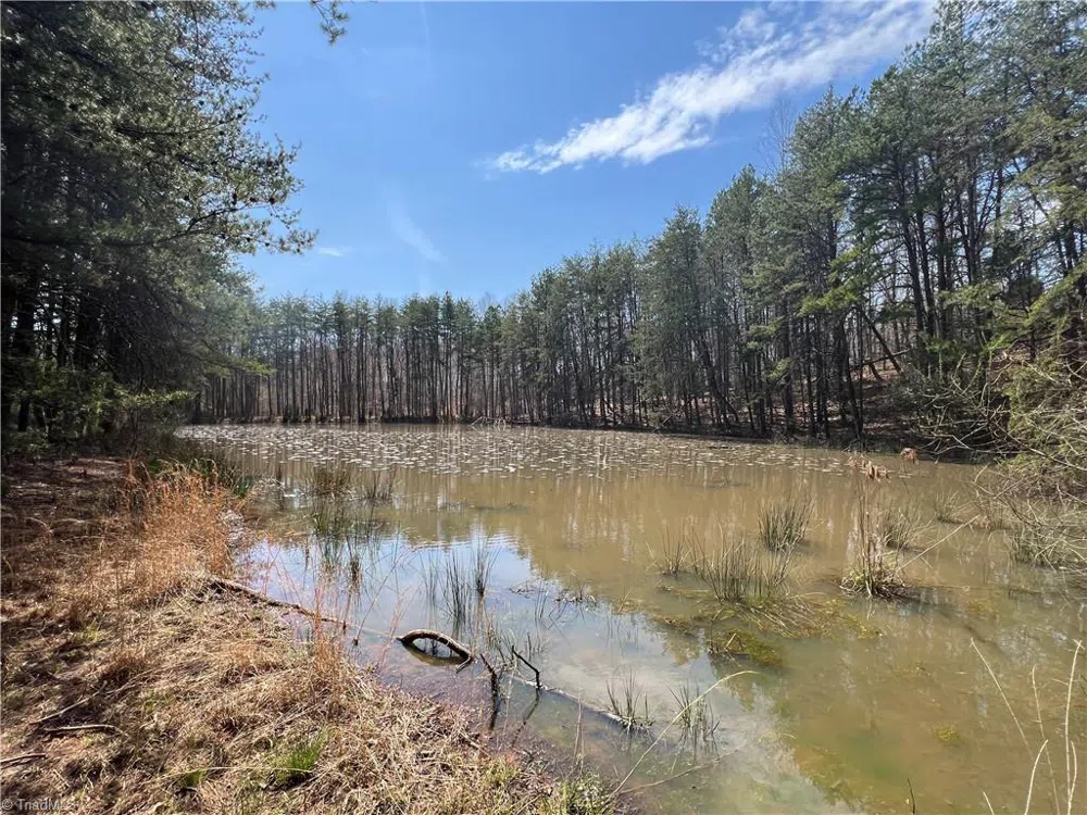 44 +/- AC Island Drive Madison, NC 27025