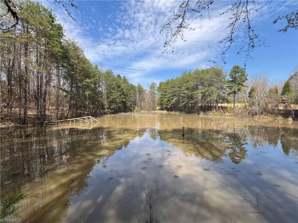 44 +/- AC Island Drive Madison, NC 27025