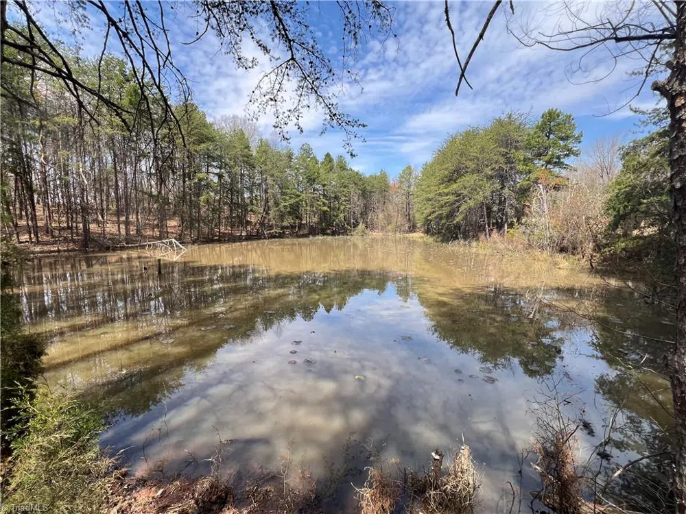 44 +/- AC Island Drive Madison, NC 27025