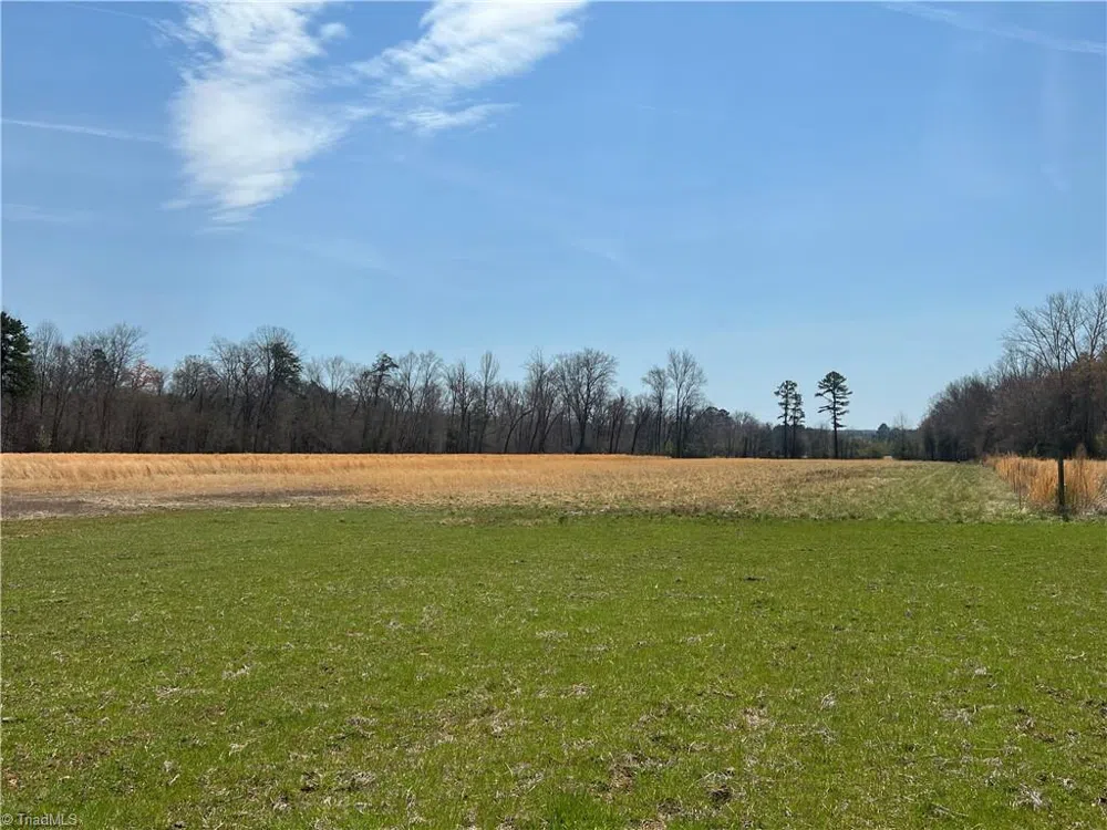 44 +/- AC Island Drive Madison, NC 27025