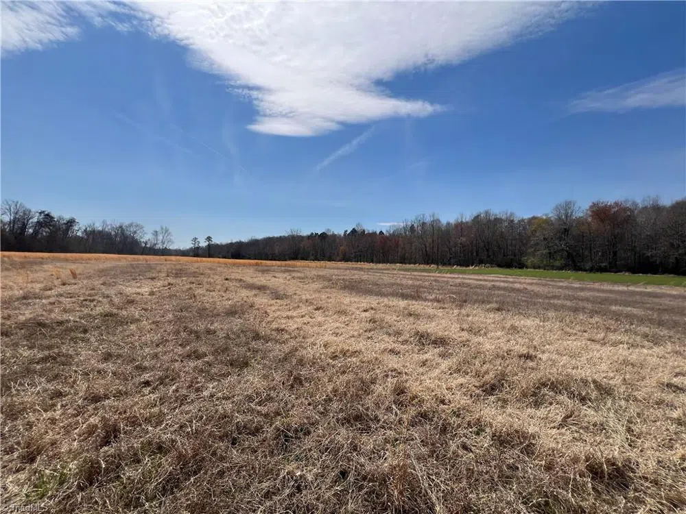 44 +/- AC Island Drive Madison, NC 27025