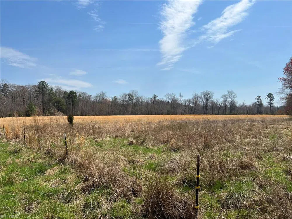 44 +/- AC Island Drive Madison, NC 27025