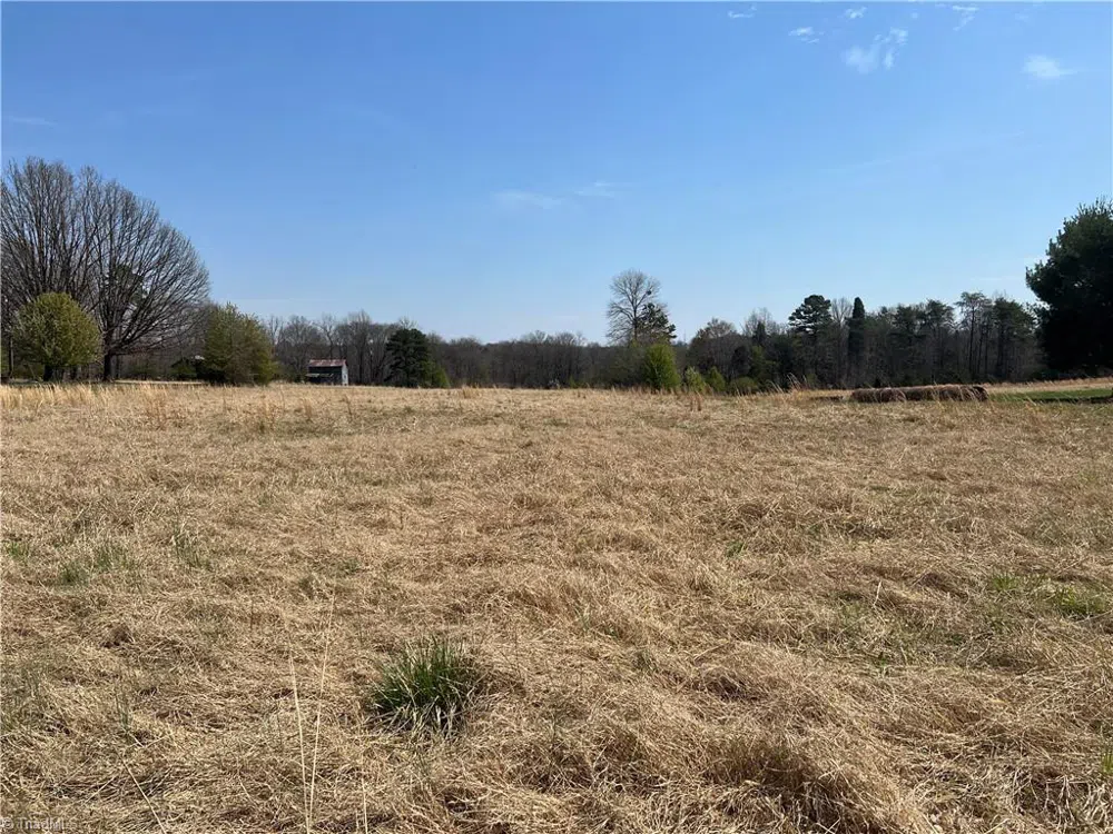 44 +/- AC Island Drive Madison, NC 27025