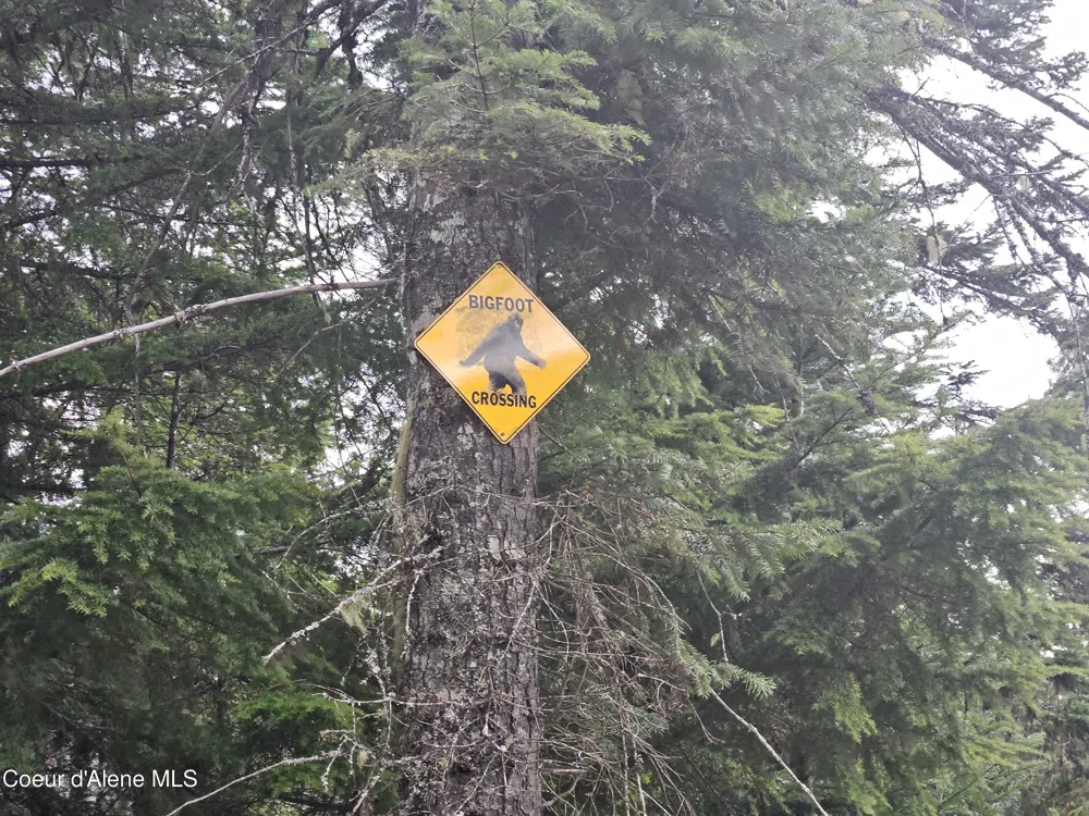 940 Sled Run Trail Clark Fork, ID 83811
