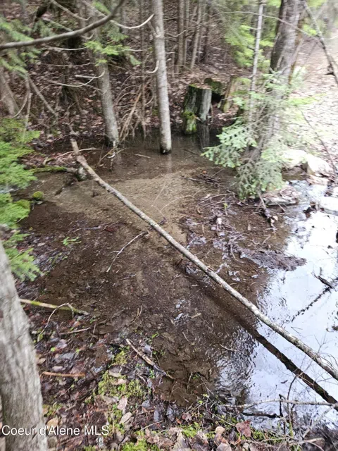 940 Sled Run Trail