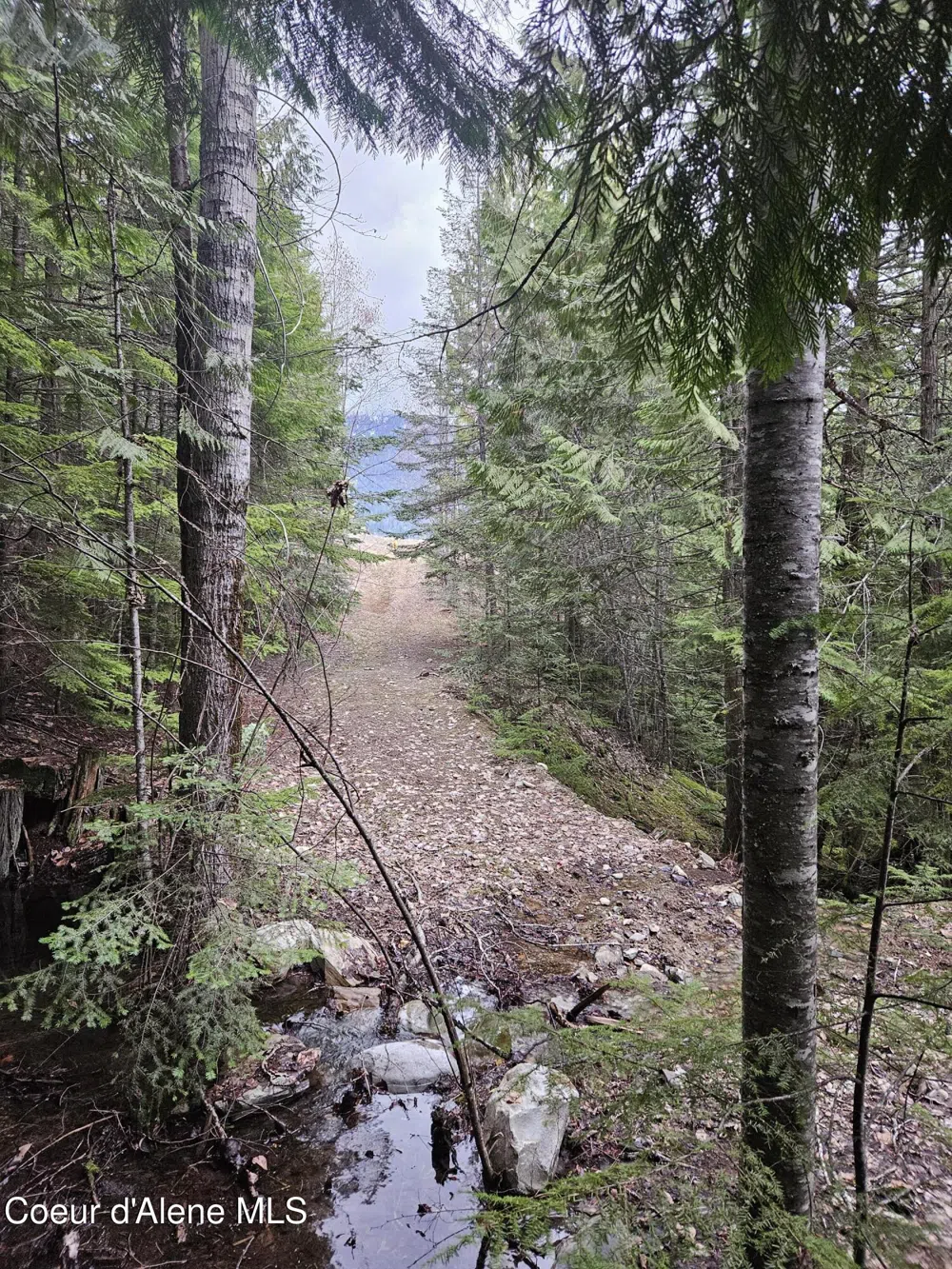 940 Sled Run Trail Clark Fork, ID 83811