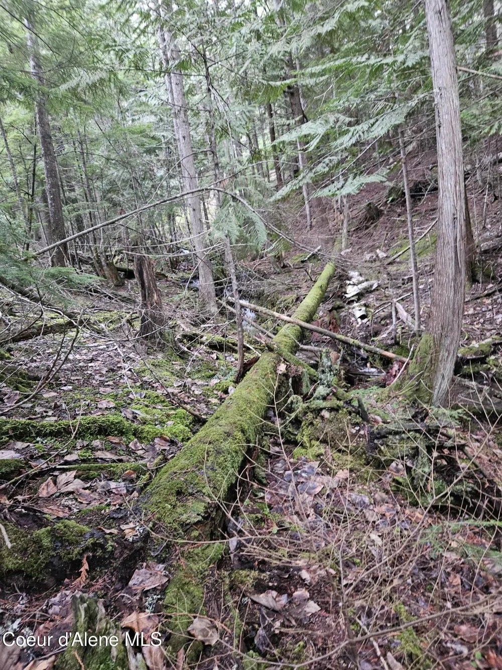 940 Sled Run Trail Clark Fork, ID 83811
