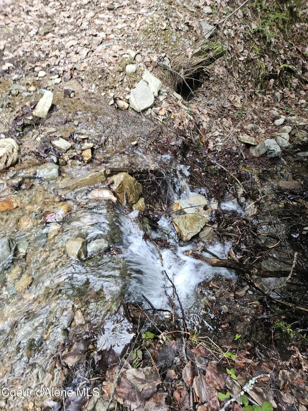 940 Sled Run Trail Clark Fork, ID 83811