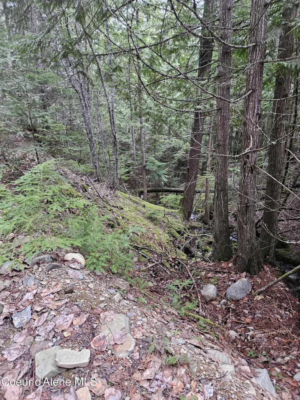 940 Sled Run Trail Clark Fork, ID 83811