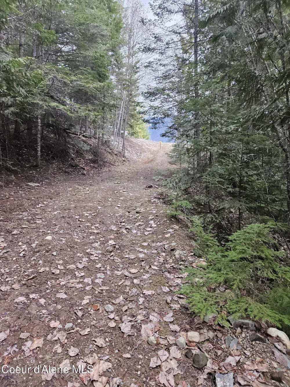 940 Sled Run Trail Clark Fork, ID 83811