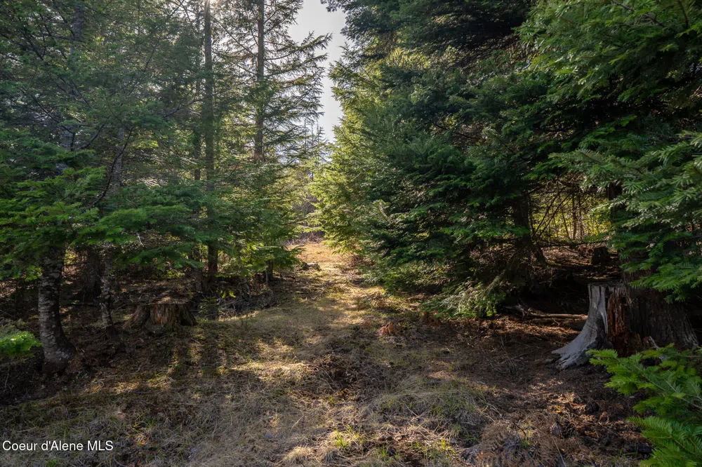 940 Sled Run Trail Clark Fork, ID 83811