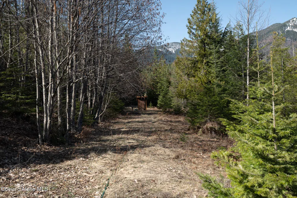 940 Sled Run Trail Clark Fork, ID 83811