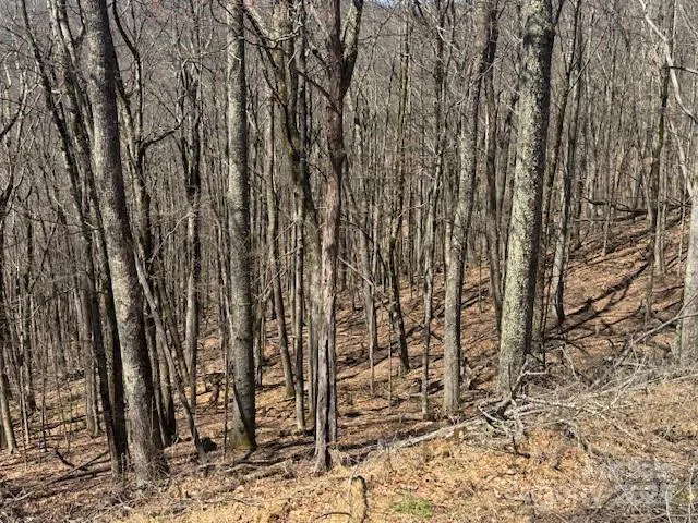 261 Grouse Thicket Lane Mars Hill, NC 28754