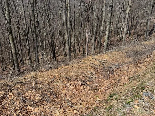 261 Grouse Thicket Lane Mars Hill, NC 28754