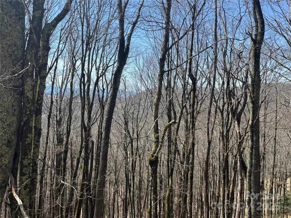 261 Grouse Thicket Lane Mars Hill, NC 28754