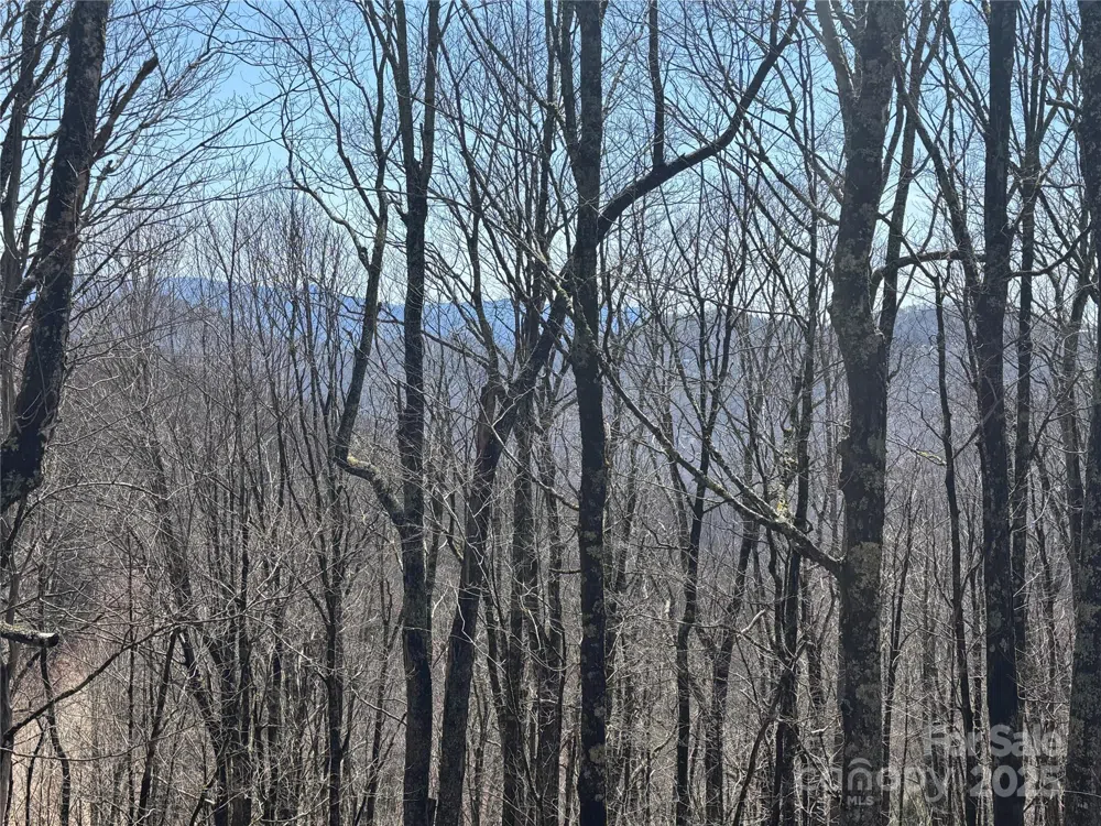 261 Grouse Thicket Lane Mars Hill, NC 28754