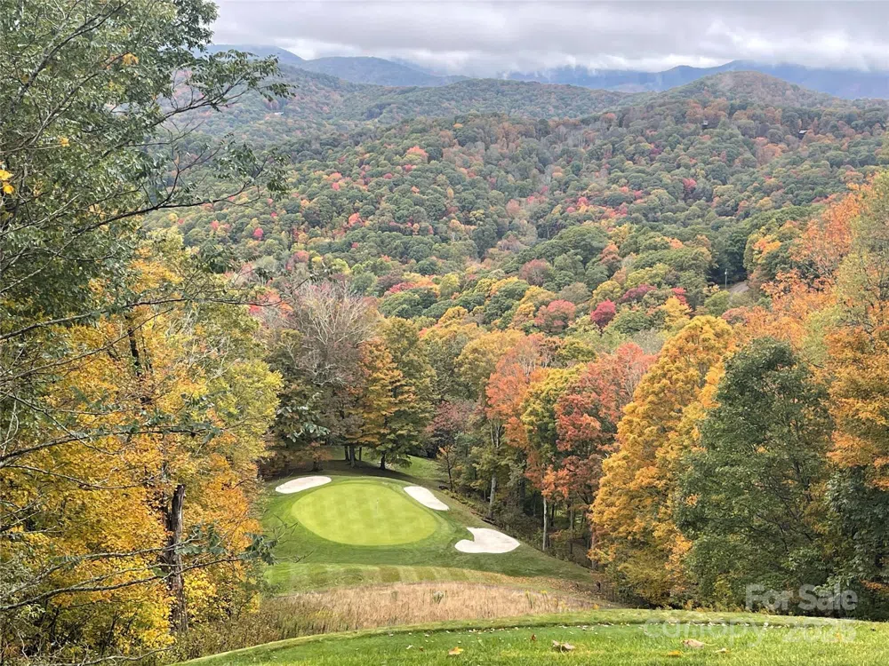 261 Grouse Thicket Lane Mars Hill, NC 28754