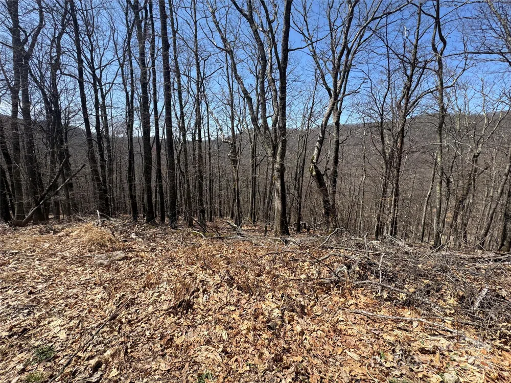 334-335-336 Hamlin Lane Mars Hill, NC 28754