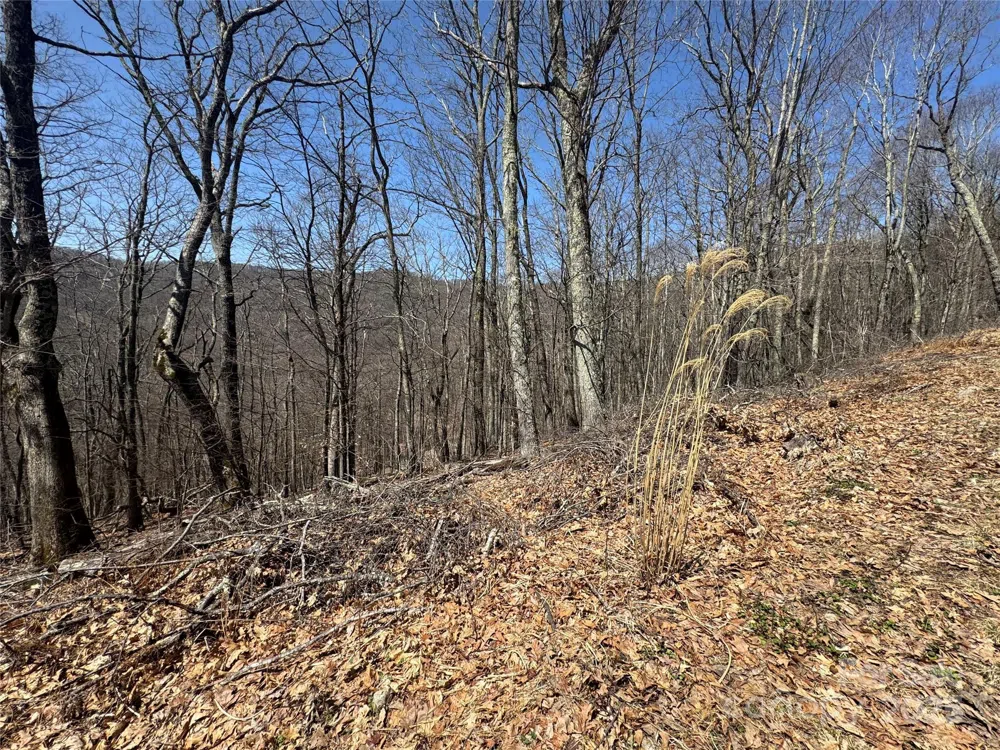 334-335-336 Hamlin Lane Mars Hill, NC 28754