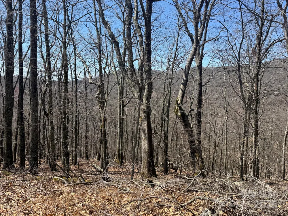 334-335-336 Hamlin Lane Mars Hill, NC 28754