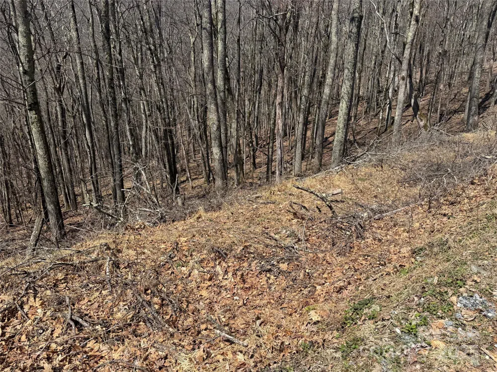 334-335-336 Hamlin Lane Mars Hill, NC 28754