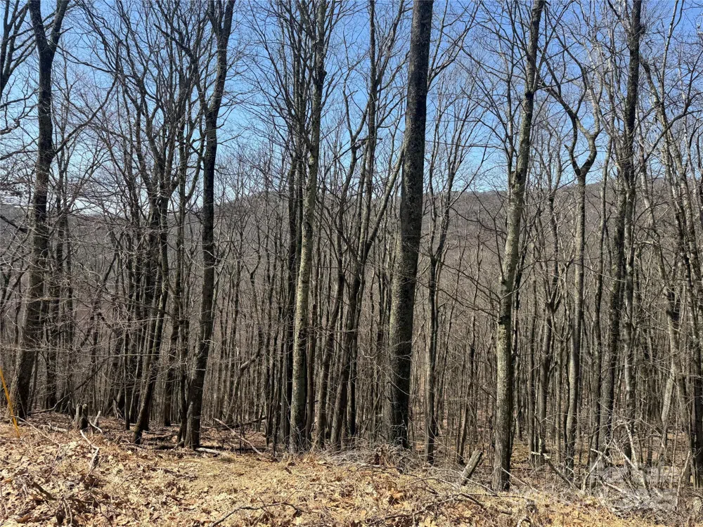 334-335-336 Hamlin Lane Mars Hill, NC 28754