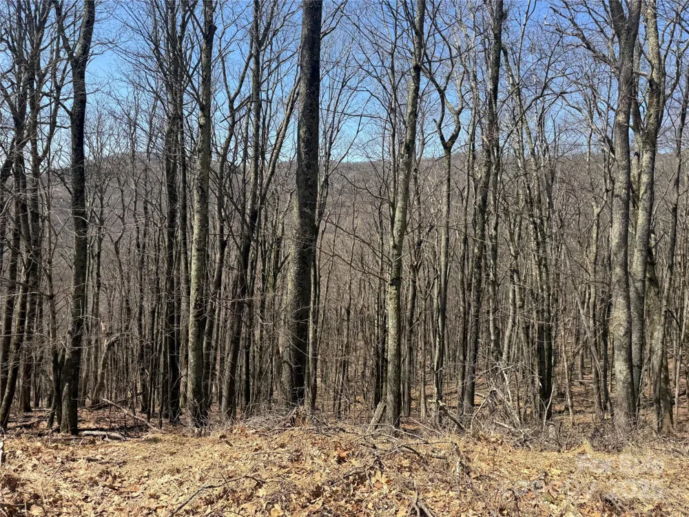 334-335-336 Hamlin Lane Mars Hill, NC 28754