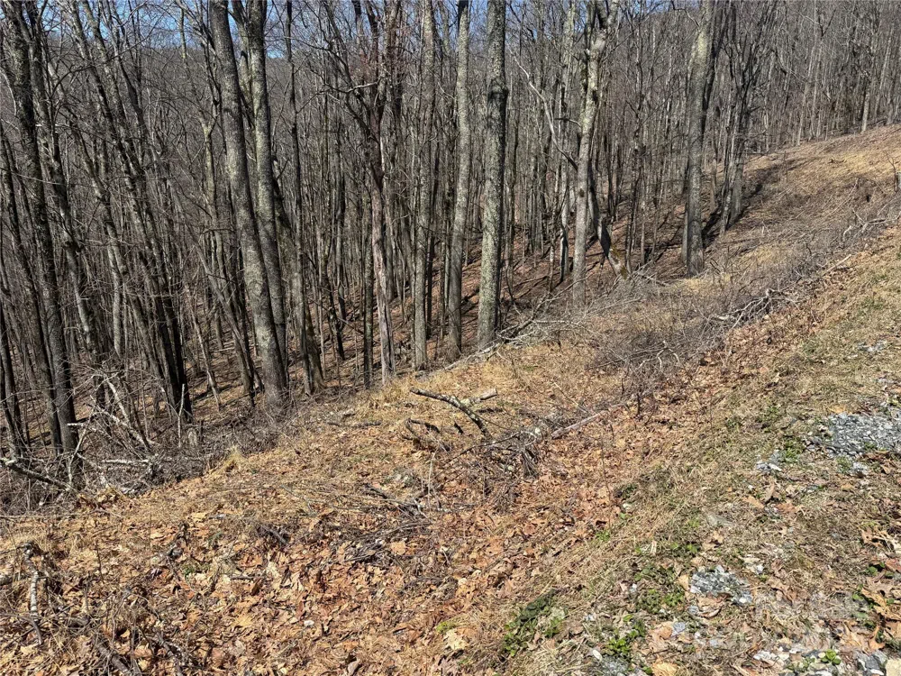 334-335-336 Hamlin Lane Mars Hill, NC 28754