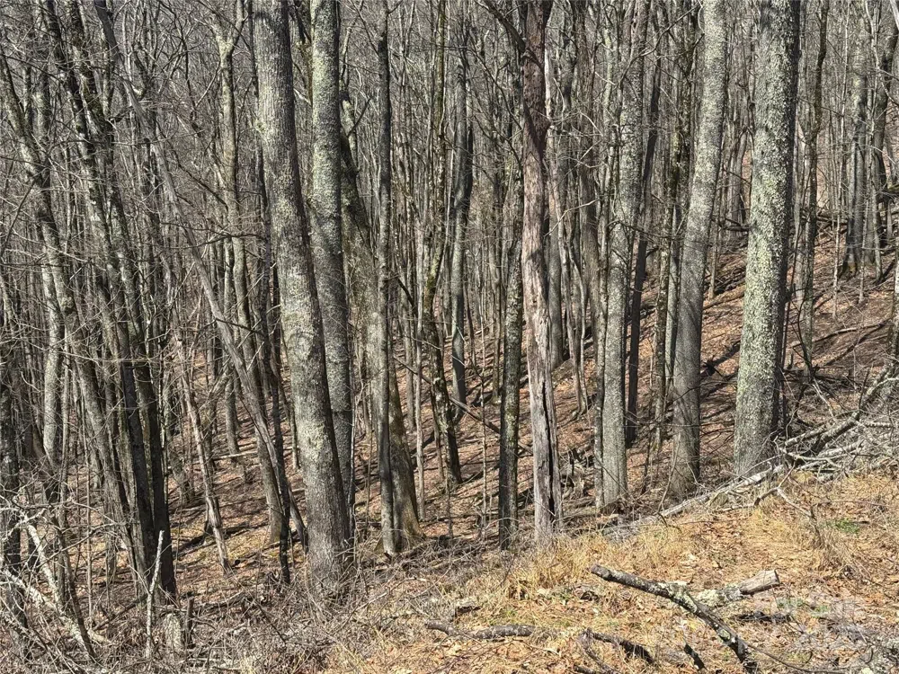 334-335-336 Hamlin Lane Mars Hill, NC 28754