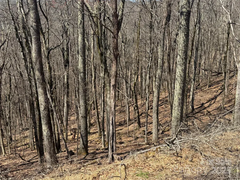 334-335-336 Hamlin Lane Mars Hill, NC 28754