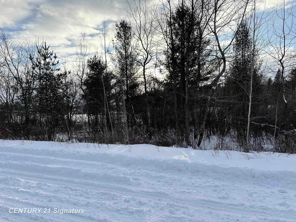 4019 Bay Avenue Billings Township, MI 48612