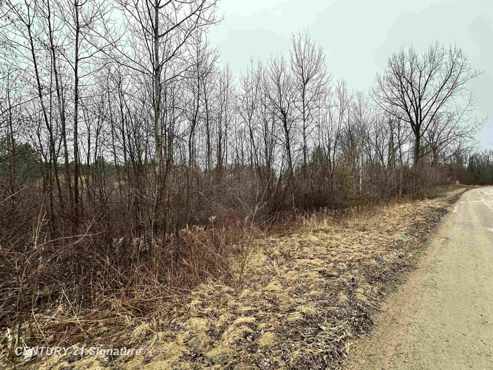 4019 Bay Avenue Billings Township, MI 48612