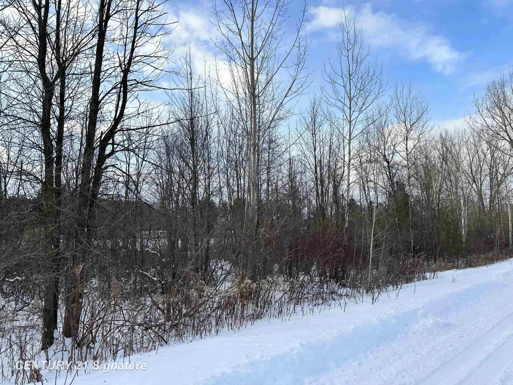 4019 Bay Avenue Billings Township, MI 48612